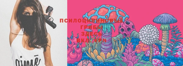 мдпв Киренск